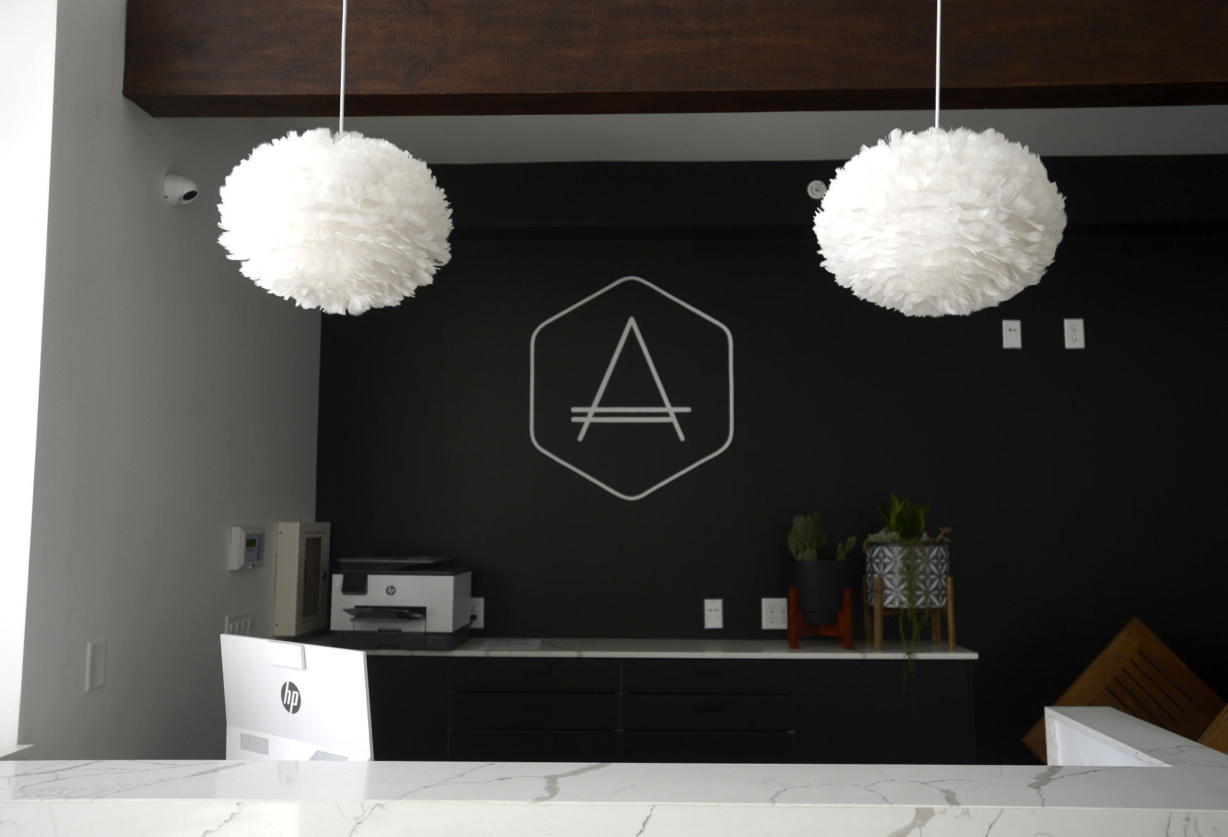 THE APIS RESTAURANT